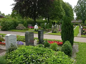 Abandoned Cemetery Drucke: Cemetery