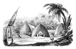 Verwandte Bilder Drucke: Historische Hangarsflotte in Tonga, Tabou, 1846