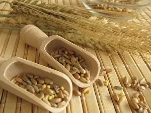 Agricultural Crops Drucke: Cereal mixture