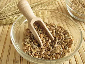 Agricultural Landscape Drucke: Cereal mixture