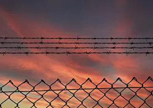 Evening Sunlight Atmosphere Drucke: Chain link fence with additional barbed wire