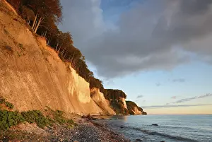 Rügen Island Landscape Drucke: Chalk cliffs in the morning light