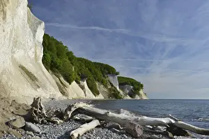 Steep Cliff Face Europe Drucke: The chalk cliffs of Rugen
