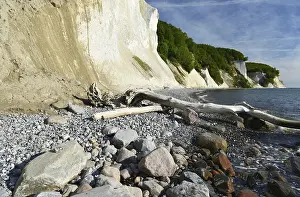 Rgen Chalk Cliffs Drucke: The chalk cliffs of Rugen