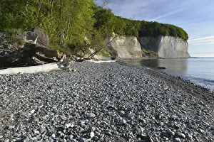 Steep Cliff Face Europe Drucke: The chalk cliffs of Rugen