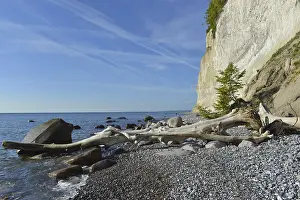 Steep Cliff Line Germany Drucke: The chalk cliffs of Rugen