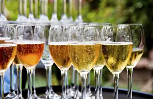 Wedding Celebration Drucke: Champagne reception