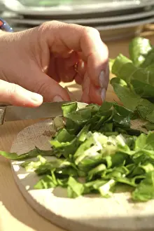 Healthy Eating Habits Tips Drucke: Chard