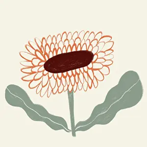 Spring Flower Drucke: A charming digital artwork of a spring flower