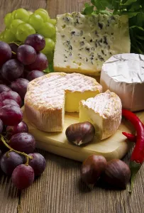 Western Europe Dairy Products Drucke: Cheese kinds