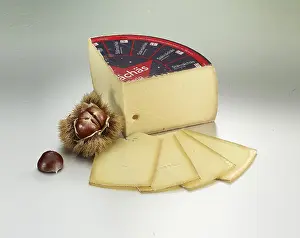 Studio Shot Of Cheese Drucke: Cheese on a light background, decorated with chestnuts