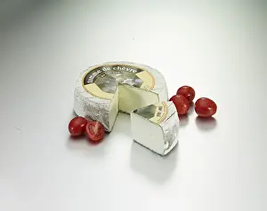 Dairy Product Decoration Drucke: Cheese on a light background, decorated with tomatoes