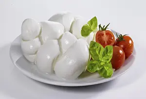 Dairy Product Photography Drucke: Cheese, mozzarella, on a light background