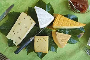 Diverse Cheese Selection Drucke: Cheese platter with different types of cheese