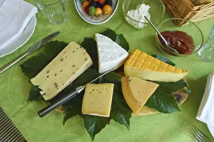 Cheese Platter Drucke: Cheese platter with different types of cheese