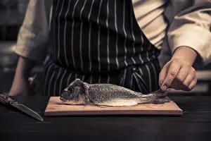 Male Chef Cooking Drucke: Chef cutting the fish on a board