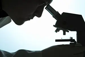 Indoor Studio Photography Drucke: Chemist looking through a microscope