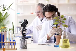 Chemist At Work Drucke: Two chemists working in the lab