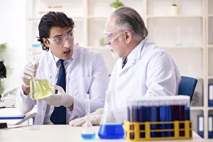 Chemist At Work Drucke: Two chemists working in the lab