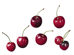 Studio Background Food Photos Drucke: Cherries