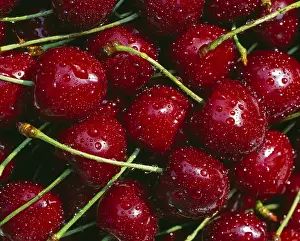 Grocery Store Fruits Drucke: Cherries
