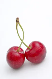 Studio Shot Of Cherries Drucke: Cherries