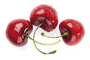 Studio Shot Cherries Drucke: Cherries