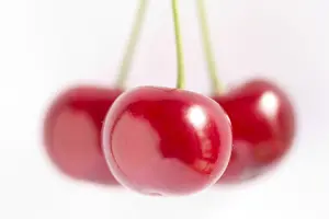 Cherry Fruit Drucke: Cherry
