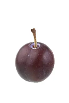 Fruit Cutout Images Drucke: Cherry plum, Myrobalane