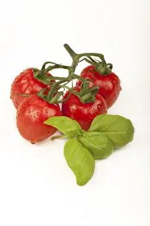High Angle View Of Vegetables Drucke: Cherry tomatoes with basil