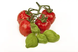 High Angle View Of Vegetables Drucke: Cherry tomatoes with basil