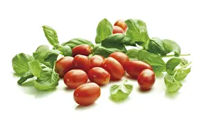 Fresh Basil Leaves Image Drucke: Cherry tomatoes with basil