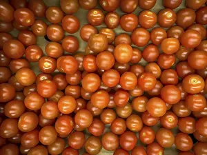 Cocktail Tomatoes Drucke: Cherry tomatoes, mini tomatoes
