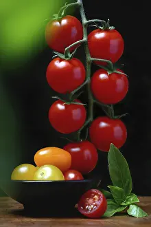 Tomato Nutrition Drucke: Cherry tomatoes on the stem and in skin