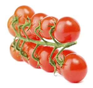 Agricultural Produce Drucke: Cherry tomatoes on the white