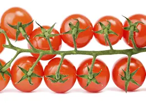 Deserted Studio Shot Drucke: Cherry tomatoes on the white