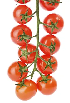 Agricultural Produce Drucke: Cherry tomatoes on the white