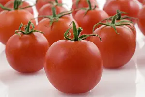 Fresh Cherry Tomatoes Drucke: Cherry Tomatoes on white background