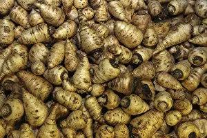 Empty Landscape Drucke: Chervil turnips