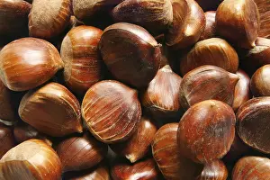 Winter Food Photography Drucke: Chestnuts