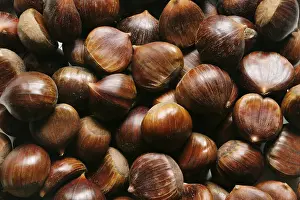 Winter Food Photography Drucke: Chestnuts