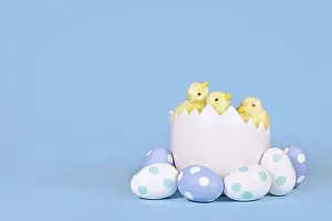 Easter Egg Decoration Drucke: Chicken in large egg shell with painted Easter eggs in corner of blue background