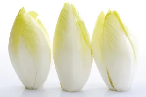 Fresh Vegetable Cutouts Drucke: Chicory