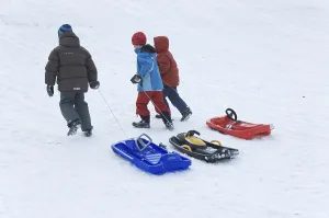 Caucasian Kids At Play Drucke: Three children are pulling their sledge up the hill