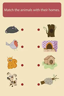 Wildlife Photography For Kids Drucke: Children's educational matching worksheet