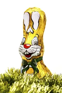 Calorie Rich Sweets Drucke: Chocolate Easter bunny