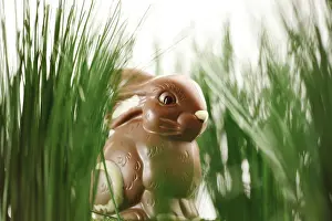 Traditional Easter Decoration Drucke: Chocolate Easter Bunny in the Grass