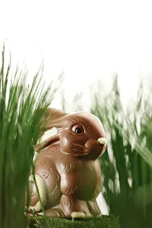 Easter Tradition Decoration Drucke: Chocolate Easter Bunny in the Grass