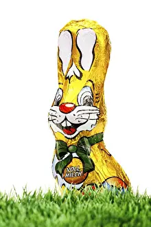High Calorie Treats Drucke: Chocolate easter bunny on grass
