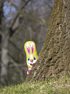 Chocolate Easter Bunny Drucke: A chocolate easter bunny peers around a tree trunk